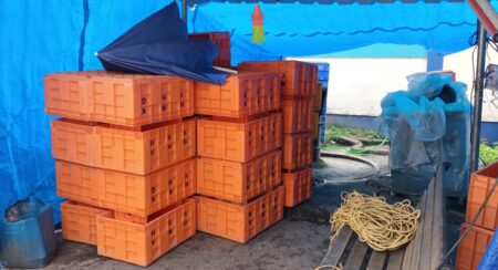 After MMC notice, fish wholesale outlets stop in Vasco