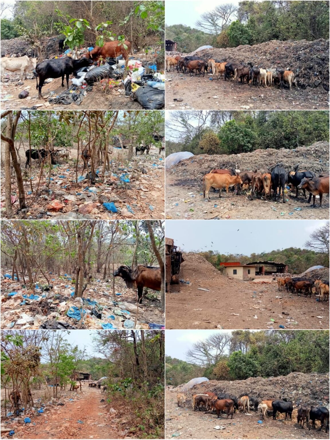 CMC’s GTP Dumane in total DISARRAY