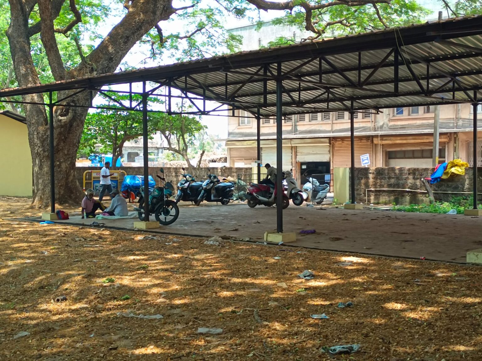 Fish vendors to be shifted to new shed within a week: MMC