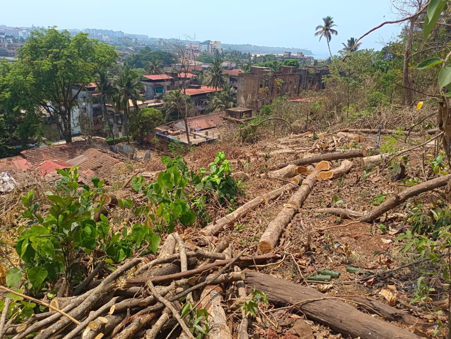 Massive hill-cutting at Bogda slope, alleges NGO