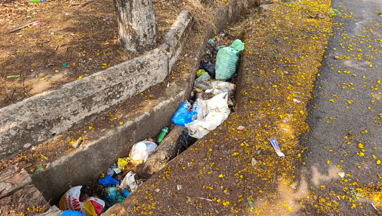 Several civic issues in plaguing Chicalim