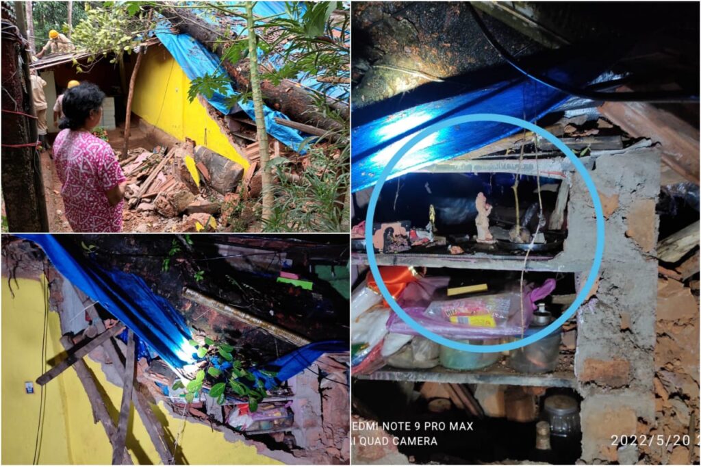 Jackfruit tree falls on a house, lucky escape for woman