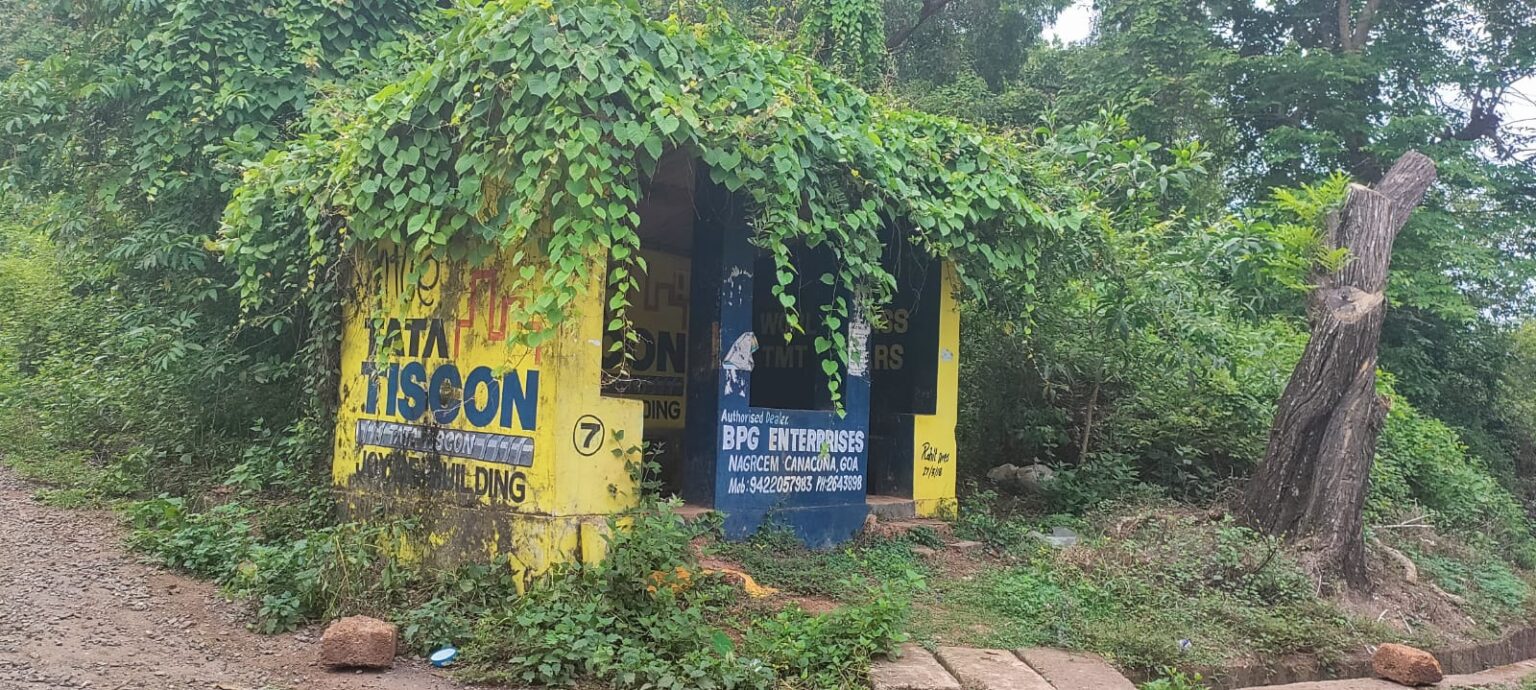 PWD sleeps as weeds/forest growth turn bus stops to ‘Bhoot-Banglas’