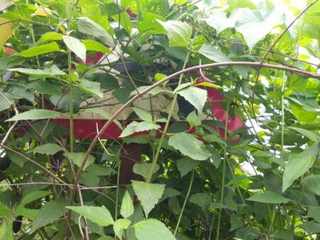 Authorities keep road-sign hidden from motorists