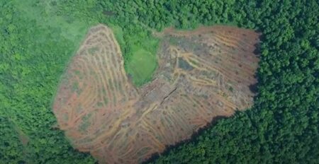 Tamnar project very crucial for Goa: Dhavalikar