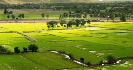 TCP says it has come across rampant land conversions