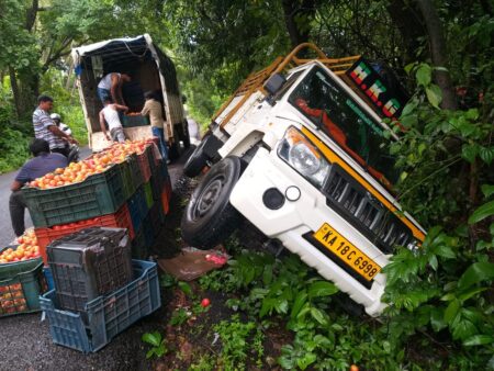 Tomato pickup falls off NH-66 at Balli