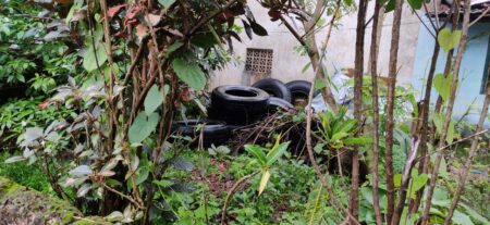 Dumped tyres create Malaria, Dengue scare