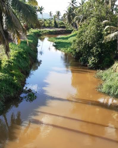 Flood control embankments, ground water recharge structures will be taken up at River Sal: Shirodkar