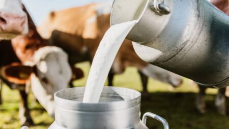 Milk production in state stands at 1.65 litres daily when daily requirement is 4 lakh litres