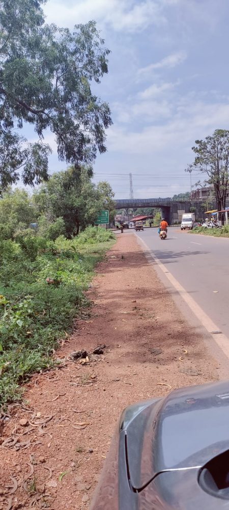 Acting tough, CMC clears roadside fish vendors