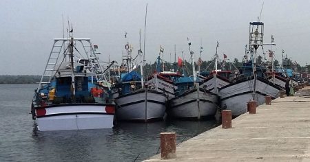 Fisheries Min firm to act on unregistered fish traders