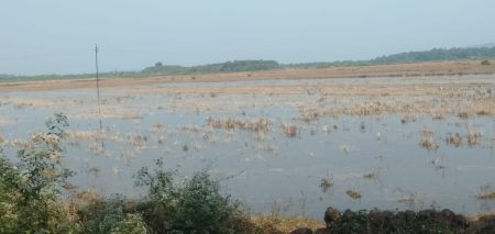 Farmers demand Goa CM conduct vigilance probe into scam by Bar Amre Khajan Tenant Committee