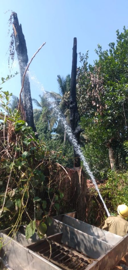 Two dry trees catch fire at Adpoi