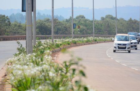 Transforming Goa’s Roads: Forest Department’s Beautification Project Takes Root