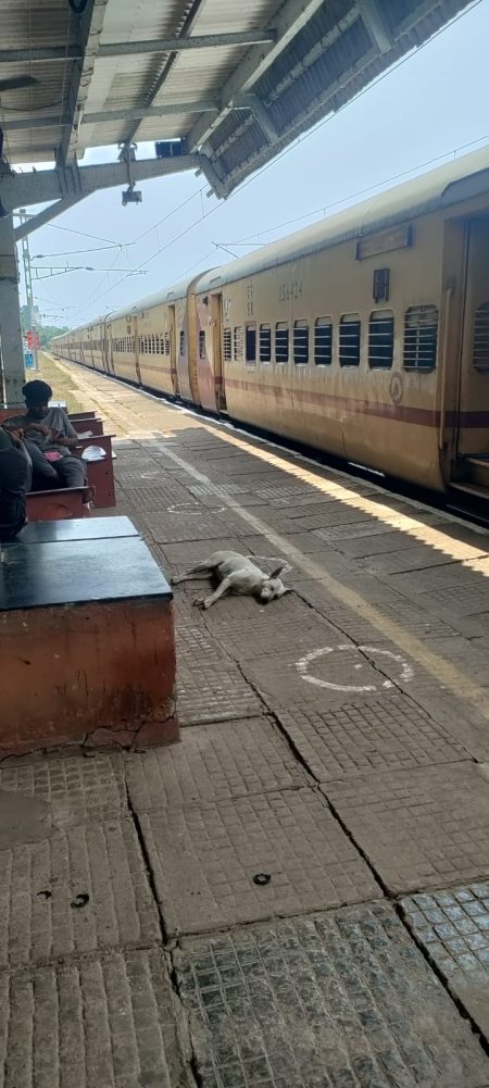 Mangalore-Madgaon Passenger Train stops at Canacona