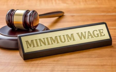 Minimum wages to be revised hopefully on May 1: Goa Min