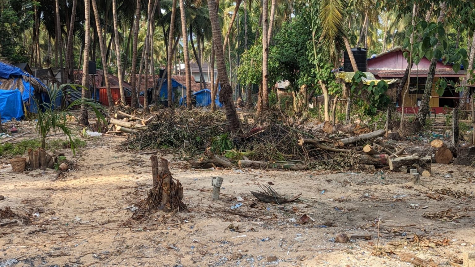 Landlord Sets Ablaze a 100 years Old Bhatti (Liquor Distillation unit) at Palolem