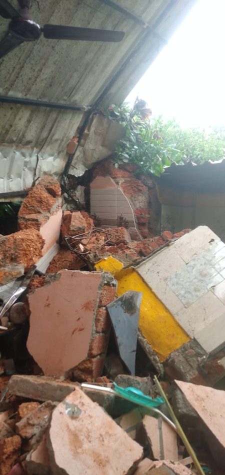 Huge tree uprooted at Kaswada, Talaulim, damages four houses, two bikes