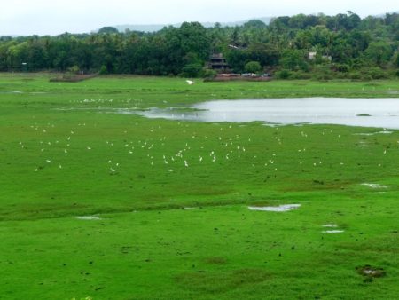 550 water bodies listed by NIO for possible wetland tag