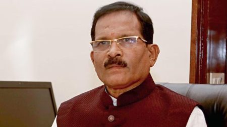 Party will decide on North Goa LS candidate, says Shripad Naik