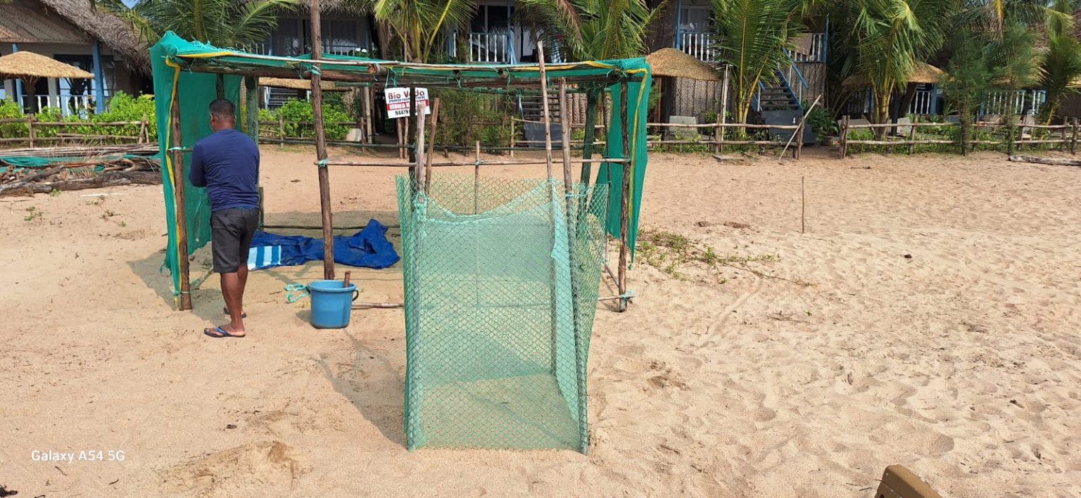 Turtle Rehabilitation Centre to protect Turtle Nest at Agonda