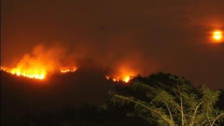 Goa’s climate crisis: Extreme temperatures, cashew crop failures, forest fires