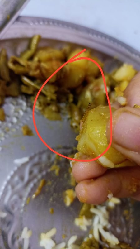 NSUI demands to terminate contract of mess in GU alleging maggots found in food
