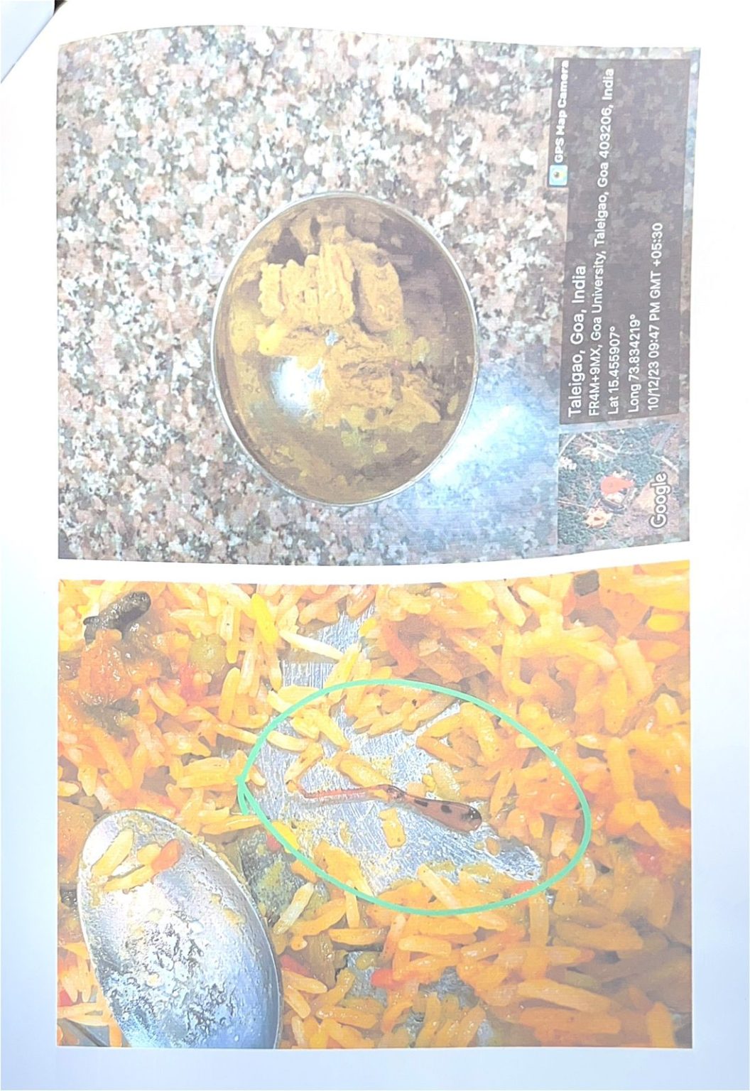 NSUI seek intervention of Edu Secy for quality food in Goa University