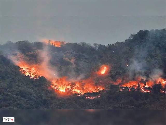 Devotees entering forest areas asked to exercise caution