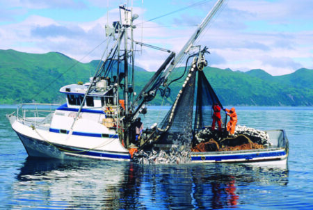 Mechanized fishing: Coastal Police, Fisheries dept submit ATR affidavits in Goa HC