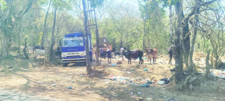 CMC blames Agonda panchayat for garbage mess at GTP-Dumane entrance road