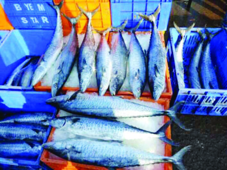 GCCI, and GSIA unhappy with proposal to relocate Margao wholesale fish market