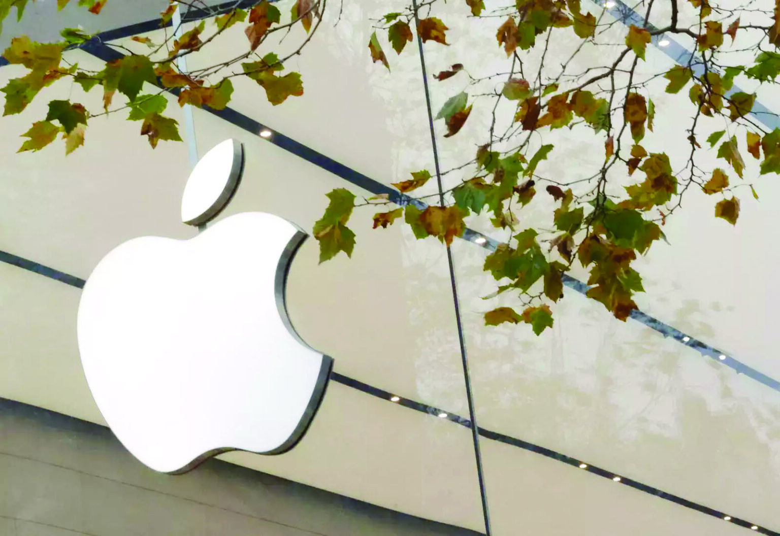 Apple Lays Off 600 Workers After Halting Car, Smartwatch Projects