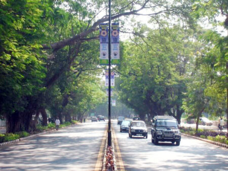 IPSCDL Secures Necessary Permissions for Tree Removal and Translocation