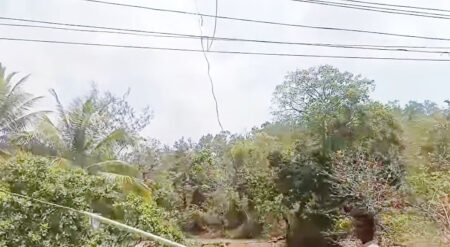 RGP team on campaign trail catches Elect Dept’s contractor illegally tapping power at Agonda