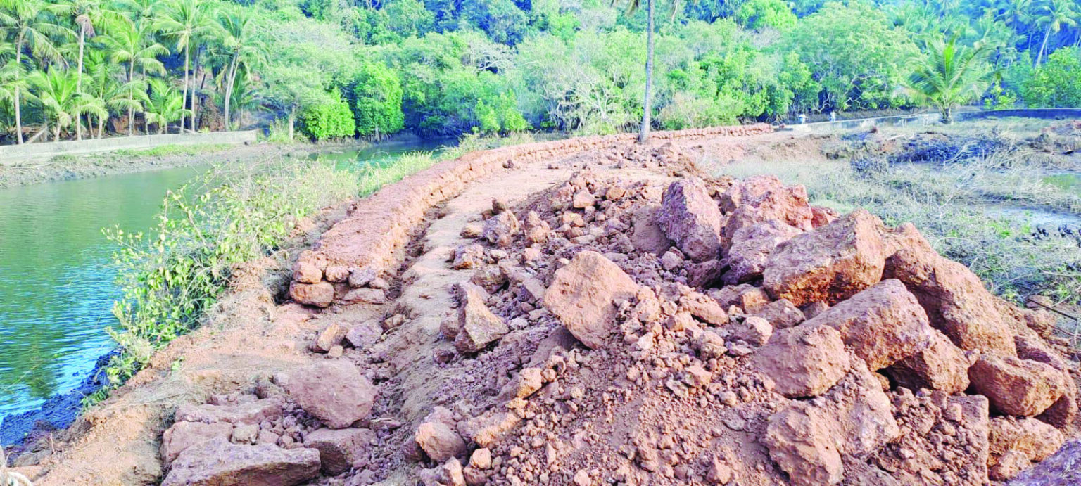 Canacona Mamlatdar stops Khazan land-filling at Magdal-Galgibaga
