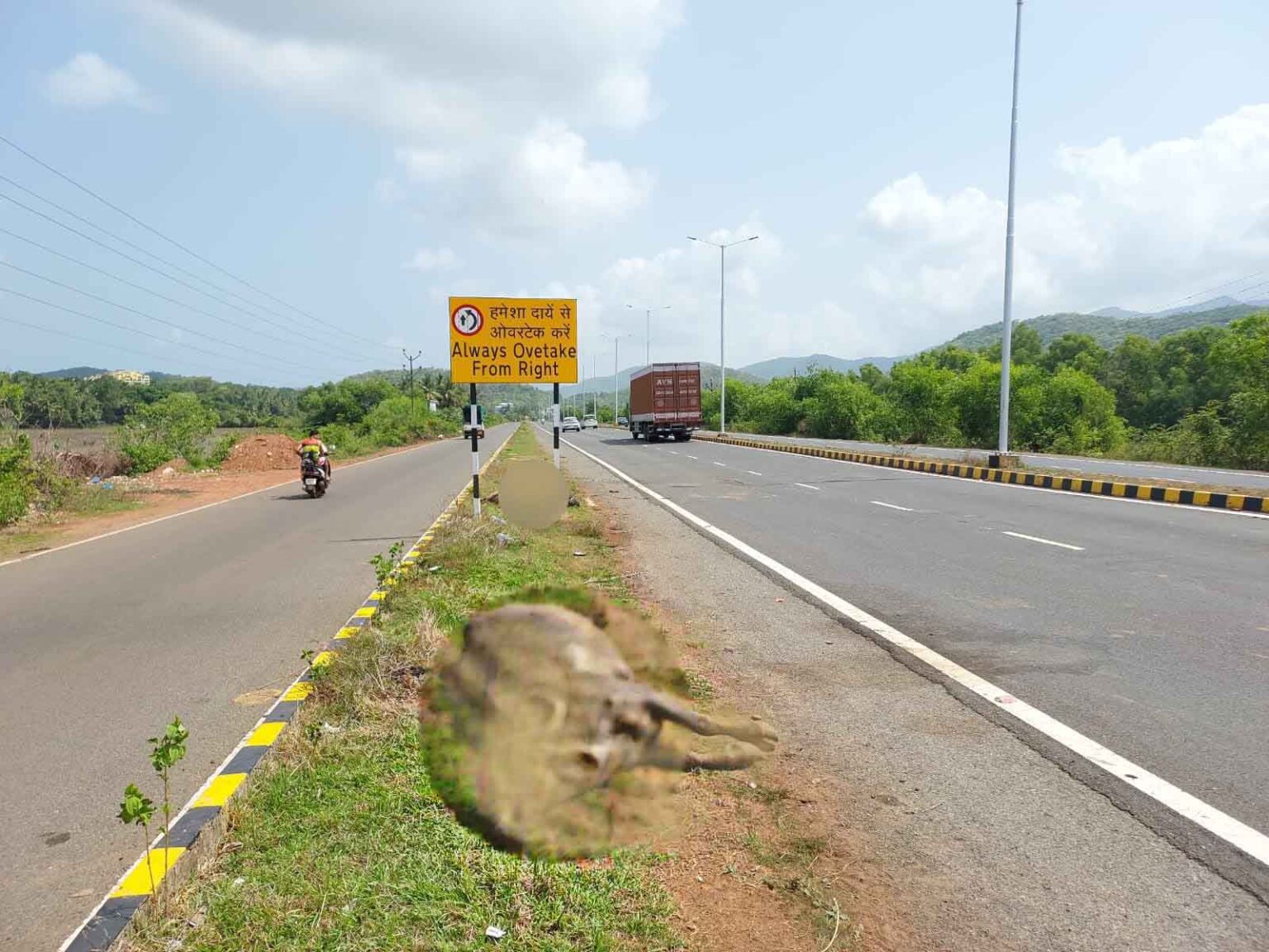 7 Buffaloes were run over by unknown heavy vehicles on Canacona Bypass Road (NH66)