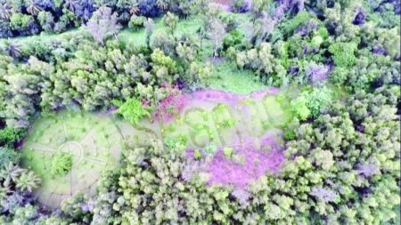 Vedanta Sesa Goa Champions Land Reclamation on World Environment Day