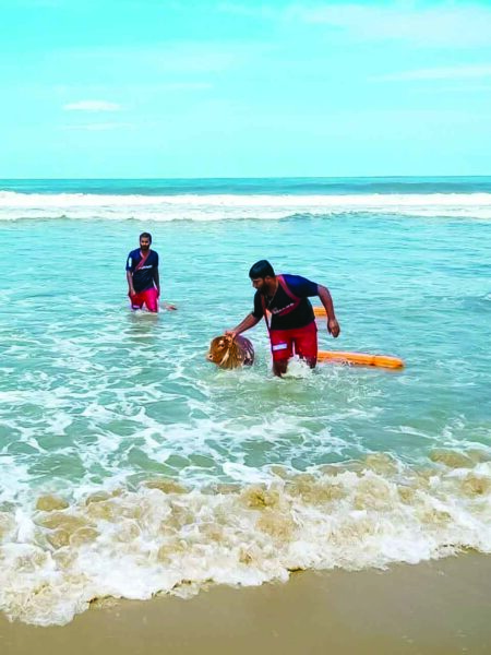 Drishti Marine Lifesavers Rescue Calf from Drowning off Patnem Beach