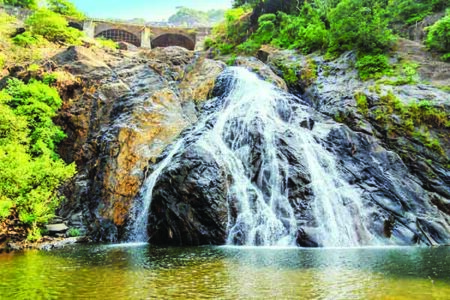 TTAG welcomes Goa govt decision to allow access to waterfalls