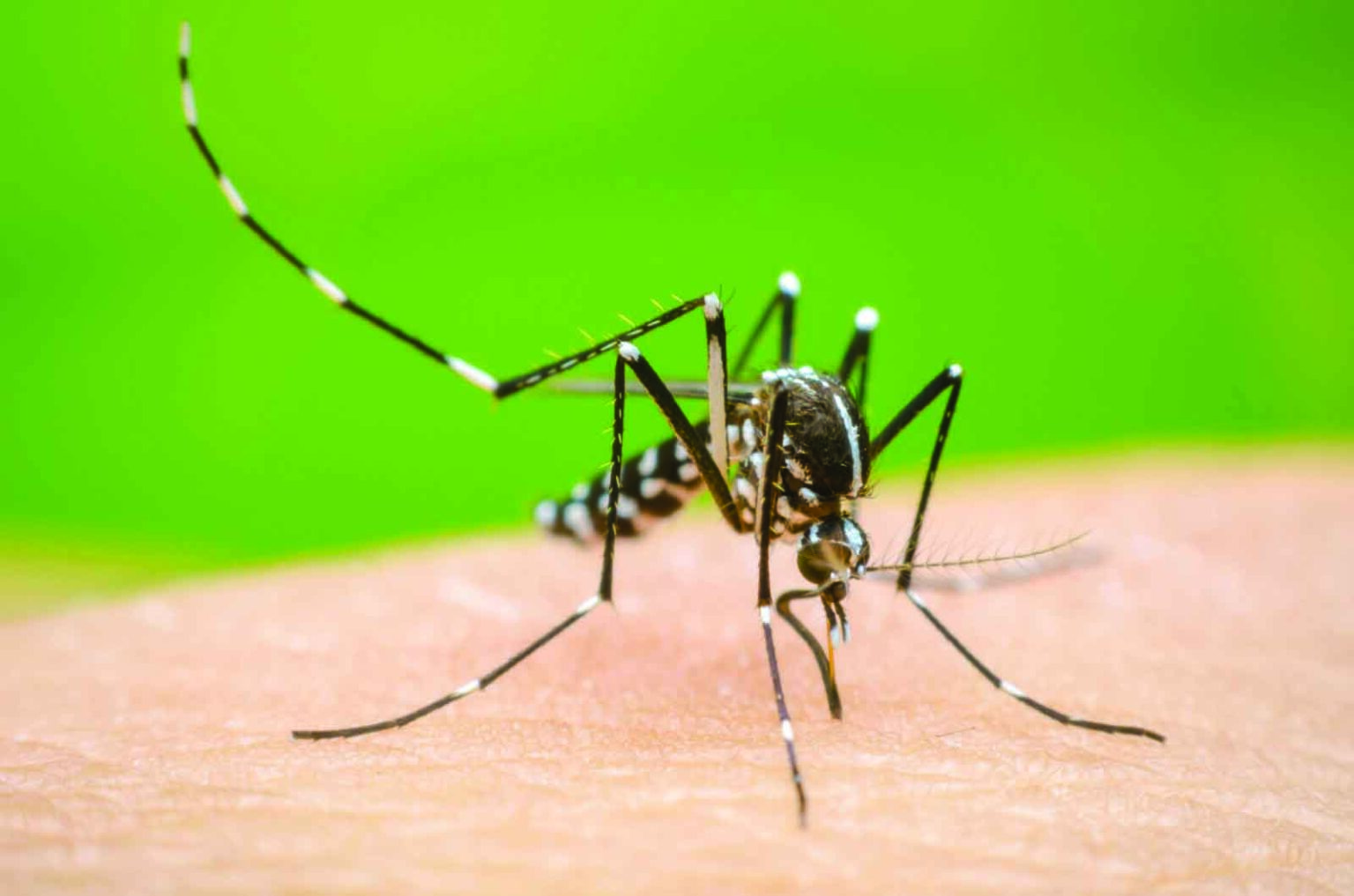 Stay safe from Dengue by taking preventive measures: Min Vishwajit