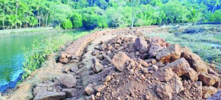 Large-scale landfilling of khazan lands; Goa HC issues notices