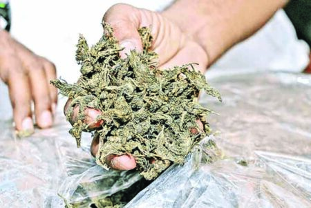 West Bengal native arrested for drug peddling