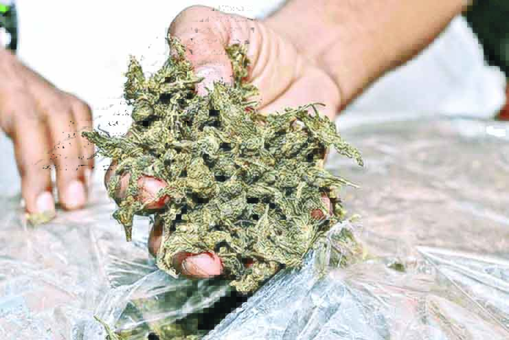 West Bengal native arrested for drug peddling