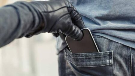 Karnataka natives arrested for stealing mobile phone