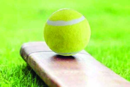 Goa tennis ball cricket team selection