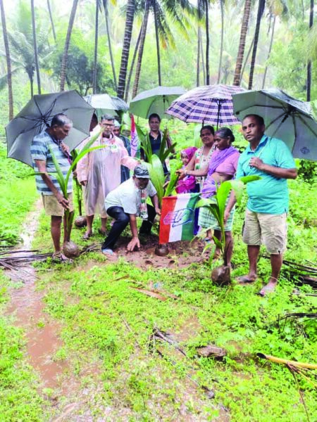 Canacona Congress holds Vana-Mahotsav