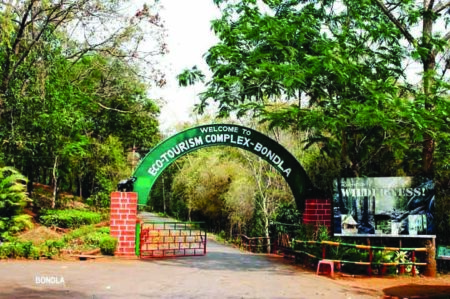 Explore Bondla Wildlife Sanctuary with Foresters: An Overnight Adventure