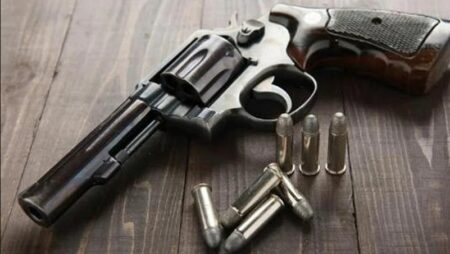 Goa has 3,000+ licenced firearm holders